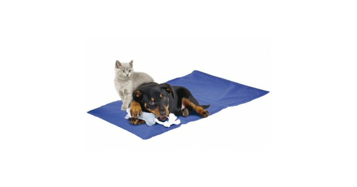 Tapis Rafraichissant pour Chien et Chat - Lits pour chiens et chats